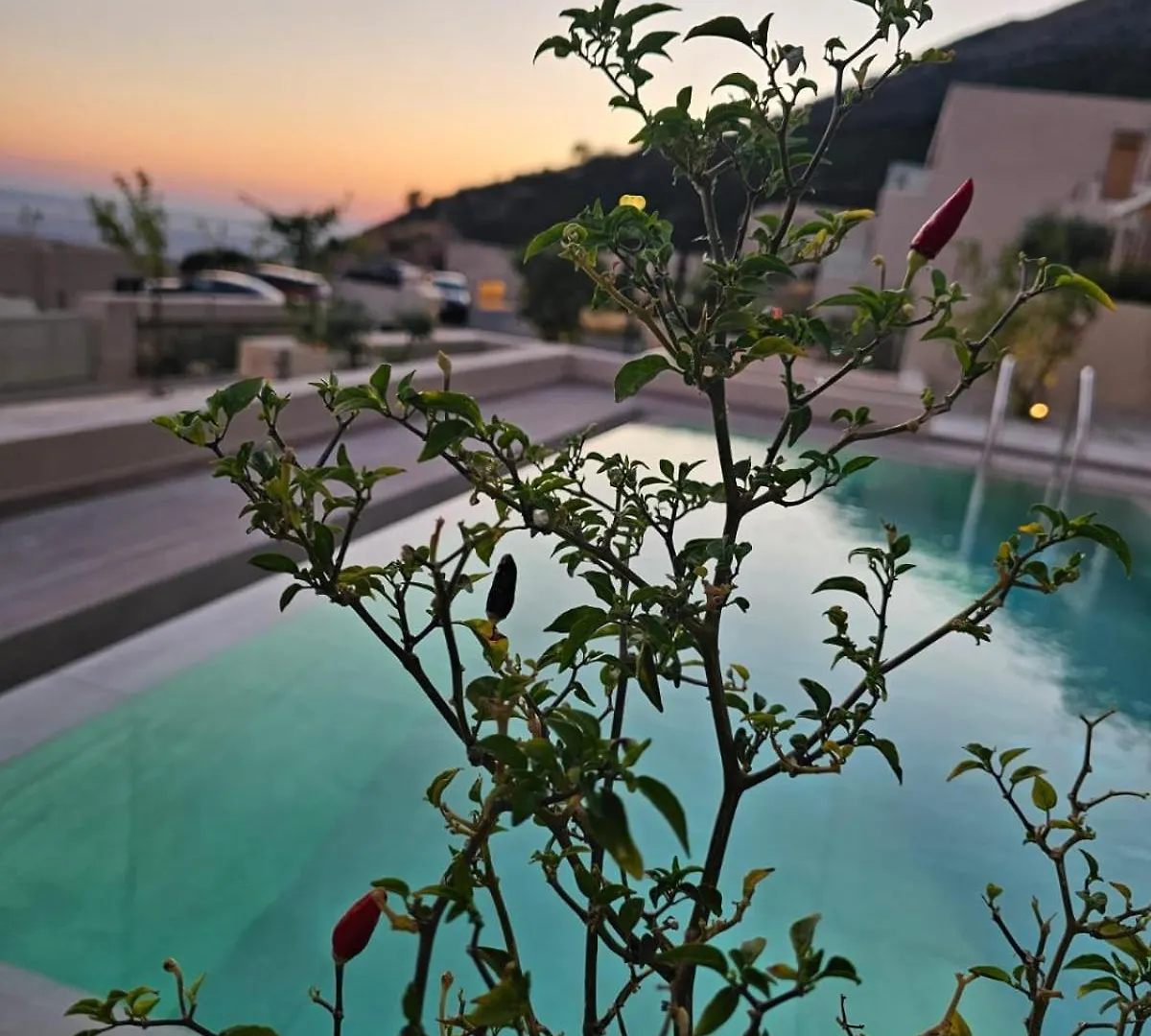 Ostriche & Champagne Room Green Coast Palase 0*, Palasë Albanien